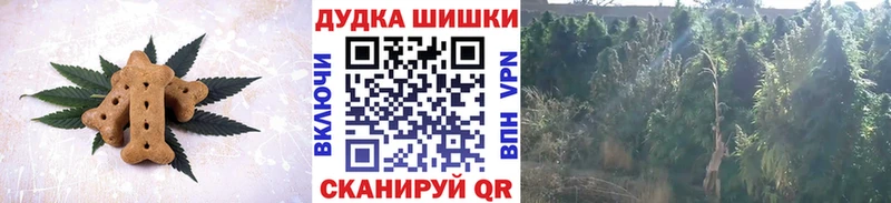 Canna-Cookies конопля  цена наркотик  Онега 