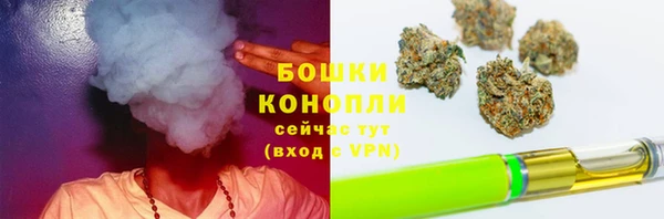 стафф Сосновоборск