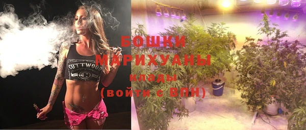 spice Белокуриха
