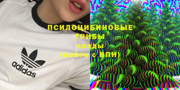 spice Белокуриха