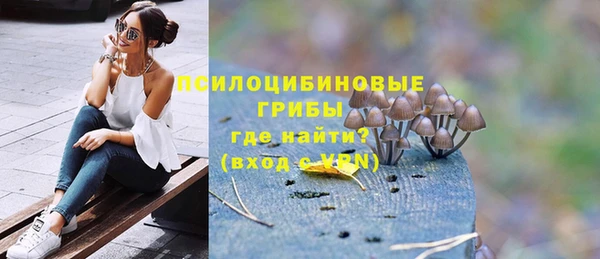 spice Белокуриха