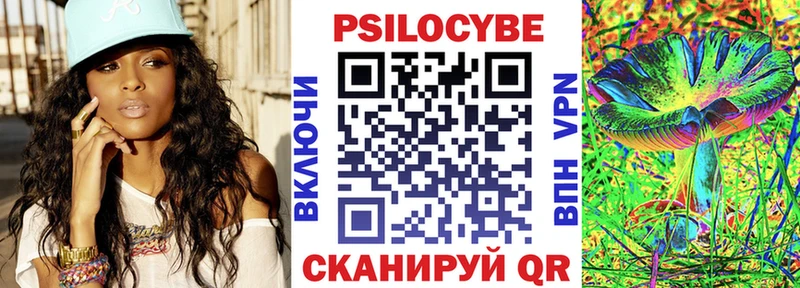 наркошоп  Онега  Псилоцибиновые грибы Psilocybine cubensis 